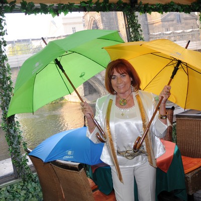 �esk� marketingov� spole�nost - Market�r roku 2009