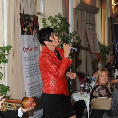 �esk� marketingov� spole�nost - Market�r roku 2014