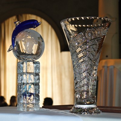 �esk� marketingov� spole�nost - Market�r roku 2015