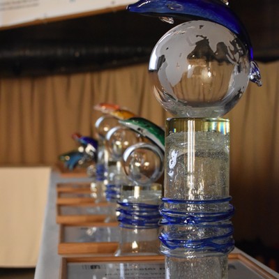 �esk� marketingov� spole�nost - Market�r roku 2016