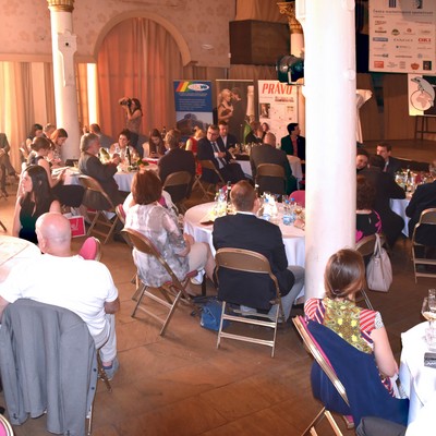 �esk� marketingov� spole�nost - Market�r roku 2016