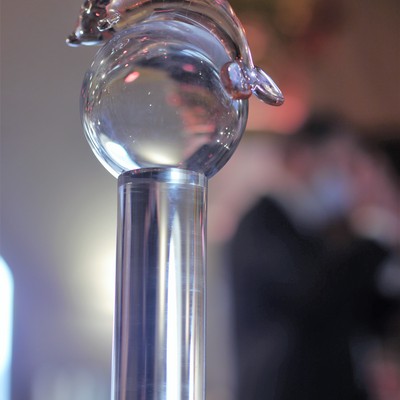 �esk� marketingov� spole�nost - Market�r roku 2019